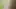 Fairy Godmother – Shrek Blacked BBC (AI Generated)