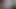 First Hamster Video
