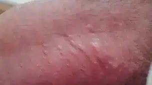The chubby chef