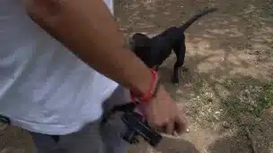 VIDEO DE ESTER DISFRUTA VER PERRA EN EL PARQUE