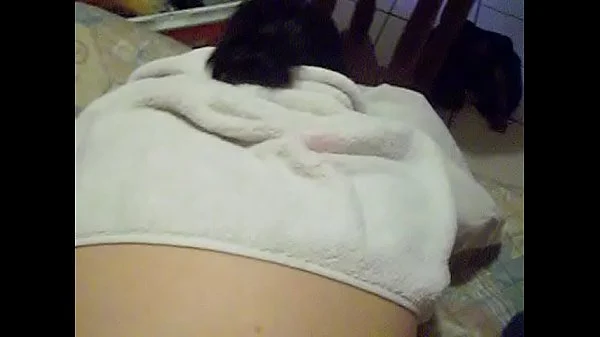 xvideos