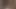 Auf xhamster bullwhipping