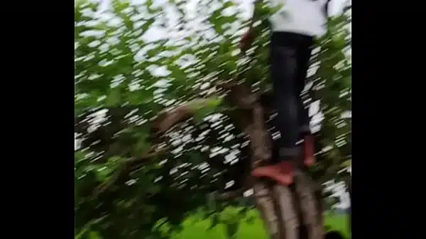 Bangla sex video