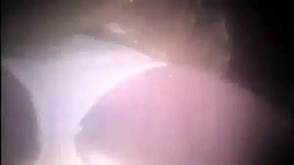 bangla very hot song