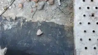 Got horny while I went for a run, so I stop for a jerk off in public