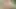 hot  png kwap xhamster 2021