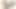 Newlywed Indian Bhabhi Fucked with Young Brother in Law when watching porn on mobile and fingering pussy-Hot fucking on xhamster