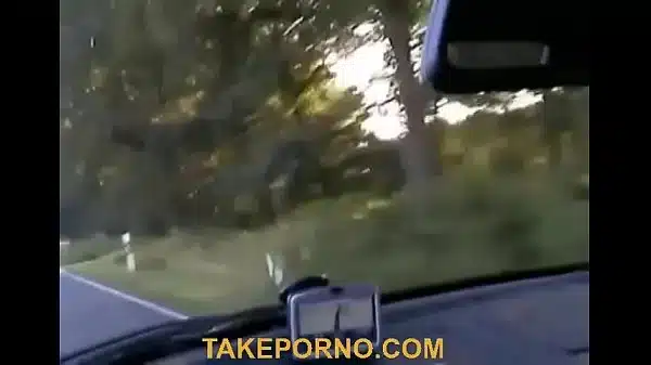 Sex in the car