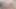 Xhamster Awards: the Deleted Scene (teen Double Penetration)